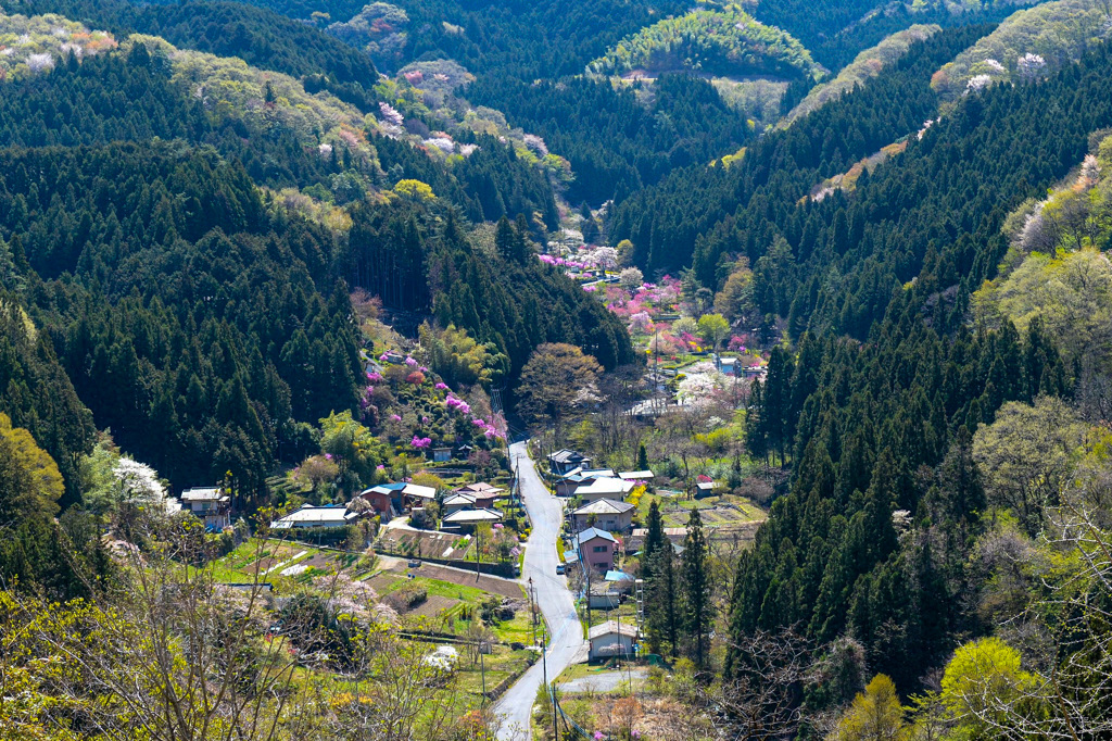 山村の春