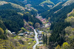 山村の春