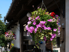 花咲く古民家の軒先