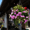花咲く古民家の軒先