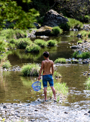 少年時代を呼び戻す