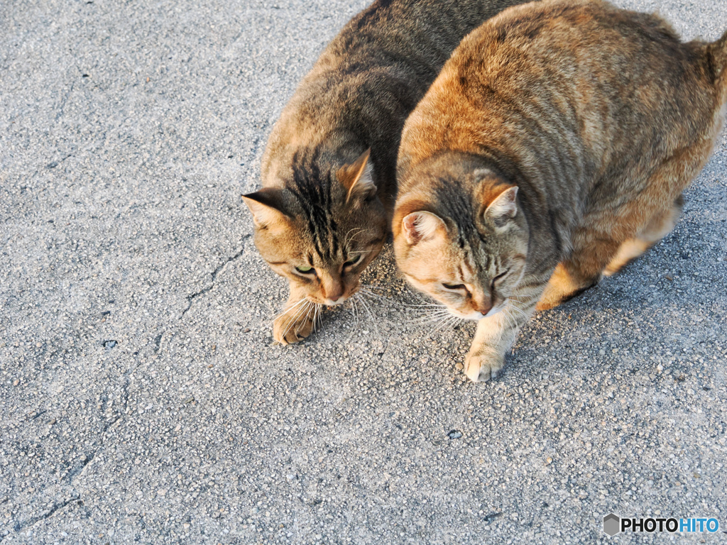 寒いけどあったかい