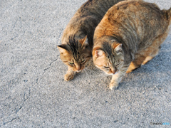 寒いけどあったかい