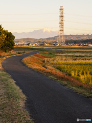 あそこまで歩いていきたい