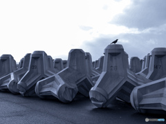 雲行きが変わる