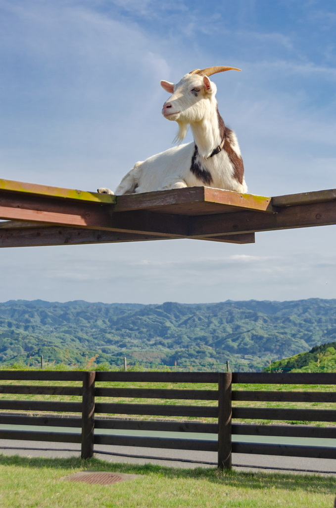 C1FAF140-1115-4741-A5E3-1423739187E6