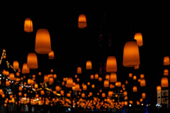 7C2661A0-D79C-4953-A674-867C2F4DCFD7