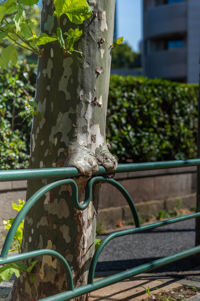 D95EC63A-9A79-43C5-A43C-D6F799B44151