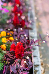 69F430AC-8301-4D4E-B2DD-E755D0C707DE