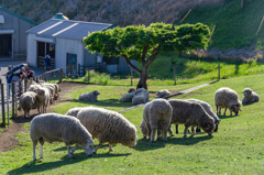 11B7E3AA-B005-42CC-B041-9E50B4D218AA