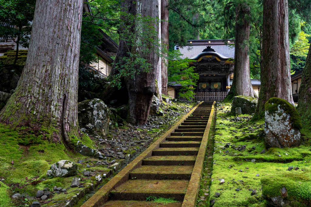 3773CB70-FA10-4457-BDDA-992954C66881