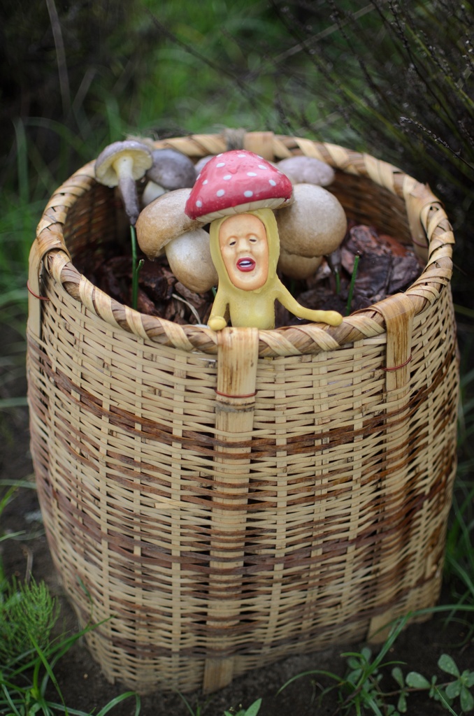 マザー牧場のこびと