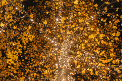 48FEFA64-E309-44EE-97A5-45C2596F3199