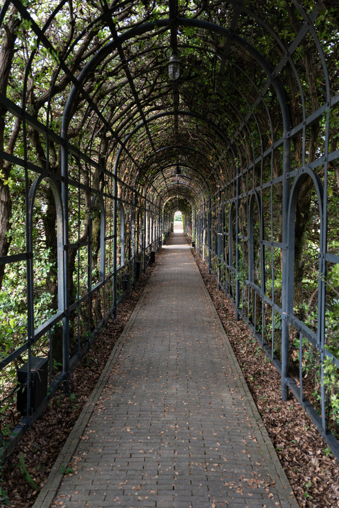 39E41F30-DBD6-4B59-BA43-F532E5B99974