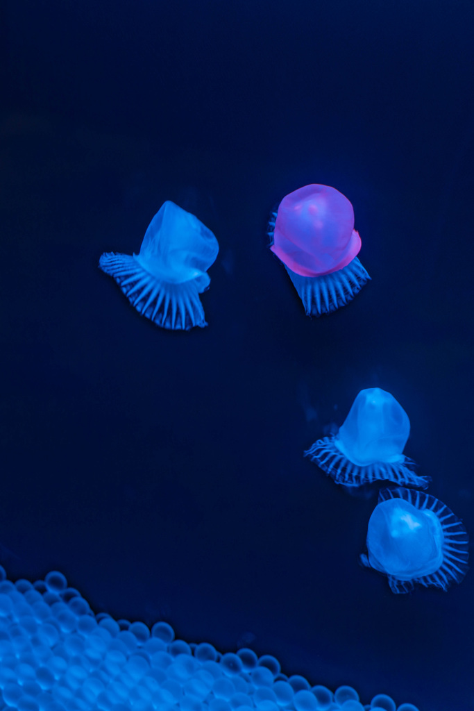 57F1D39C-13FC-4B9B-BF3D-CDFBA31C937E