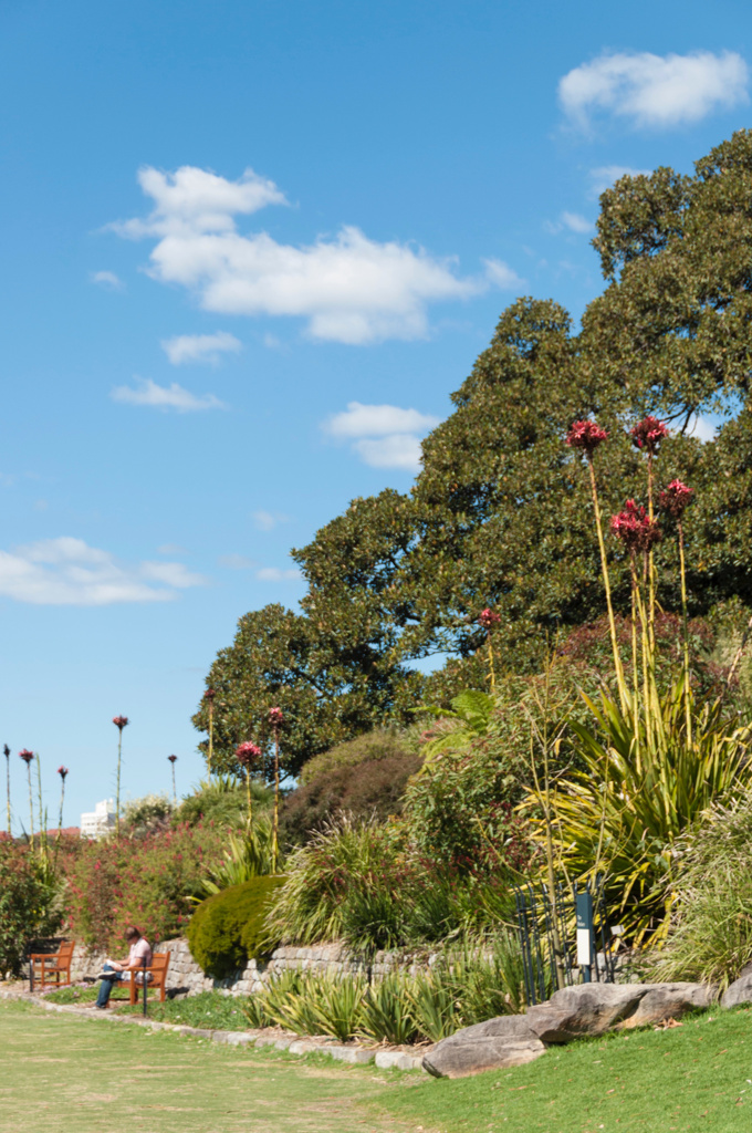 ロイヤルボタニックガーデン