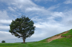 64335391-03DB-458B-A614-F1C53CAFCDD1