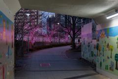 トンネルの先に