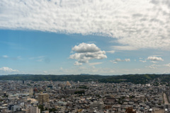 3B5207EA-D83C-4B79-87D0-A3E7913F357B