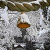 雪の初詣