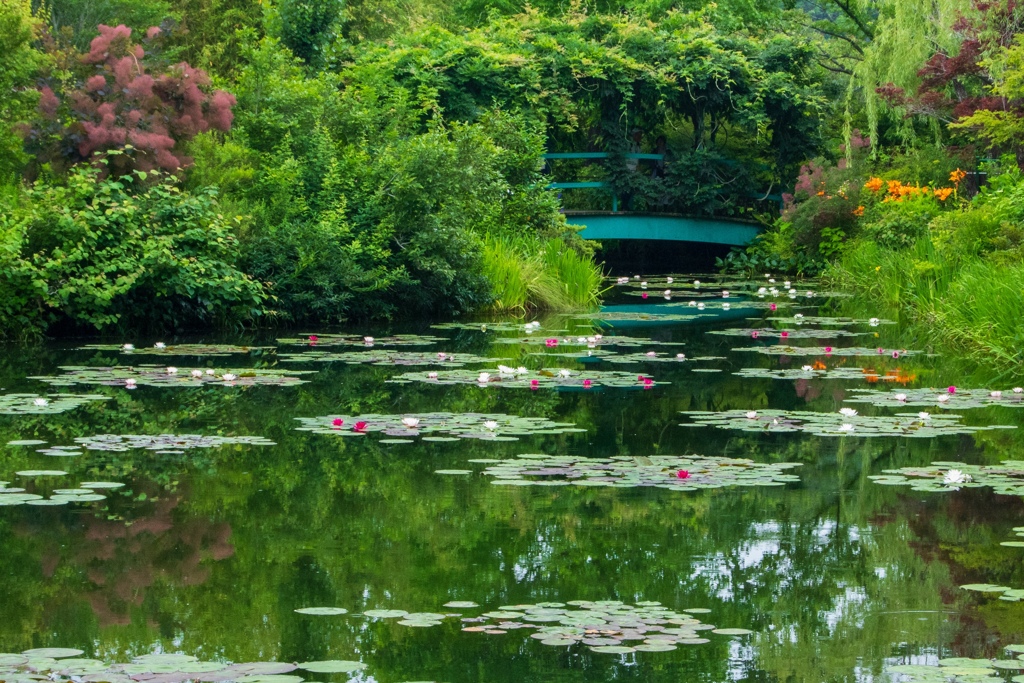 国内唯一モネの庭