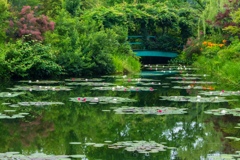 国内唯一モネの庭