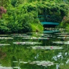国内唯一モネの庭