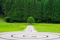 ポツンと一本