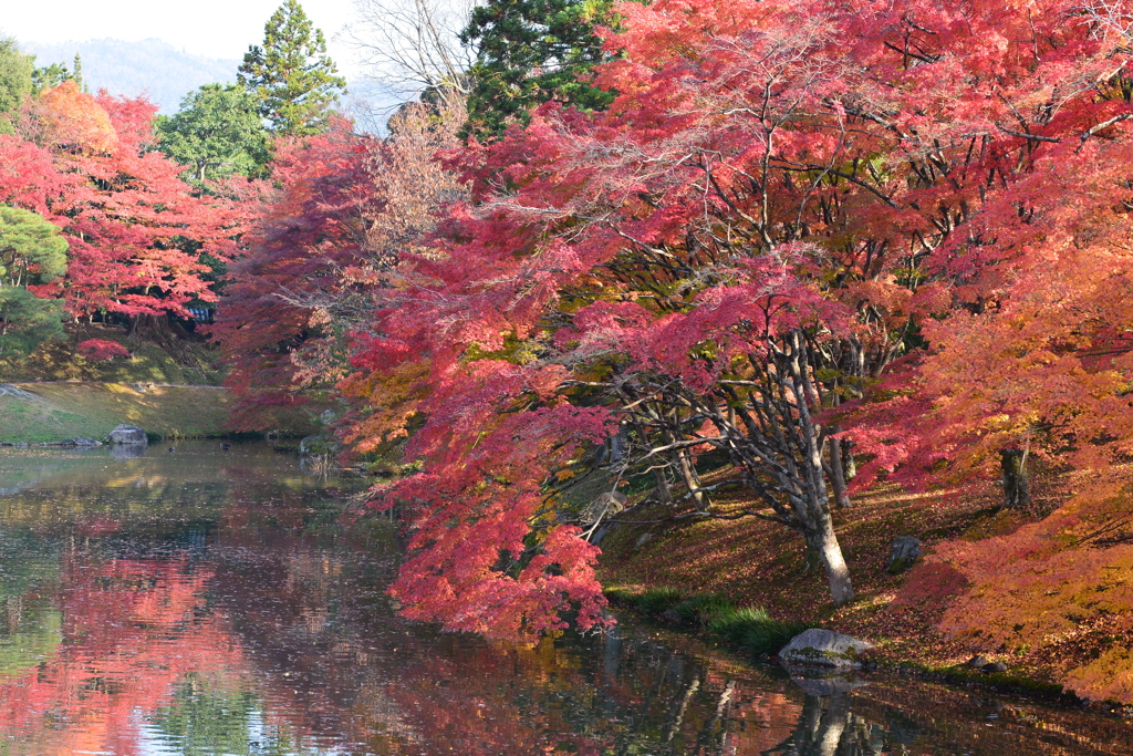 言葉にできない