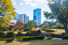 小春日和に誘われて