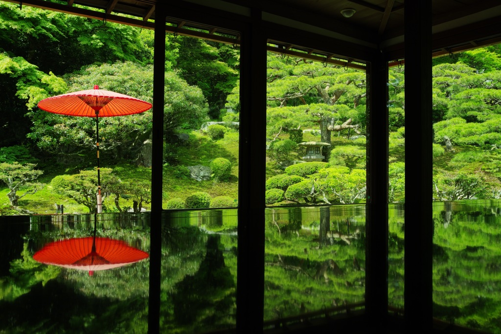 緑に映える野点傘