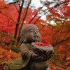 紅葉の微笑み