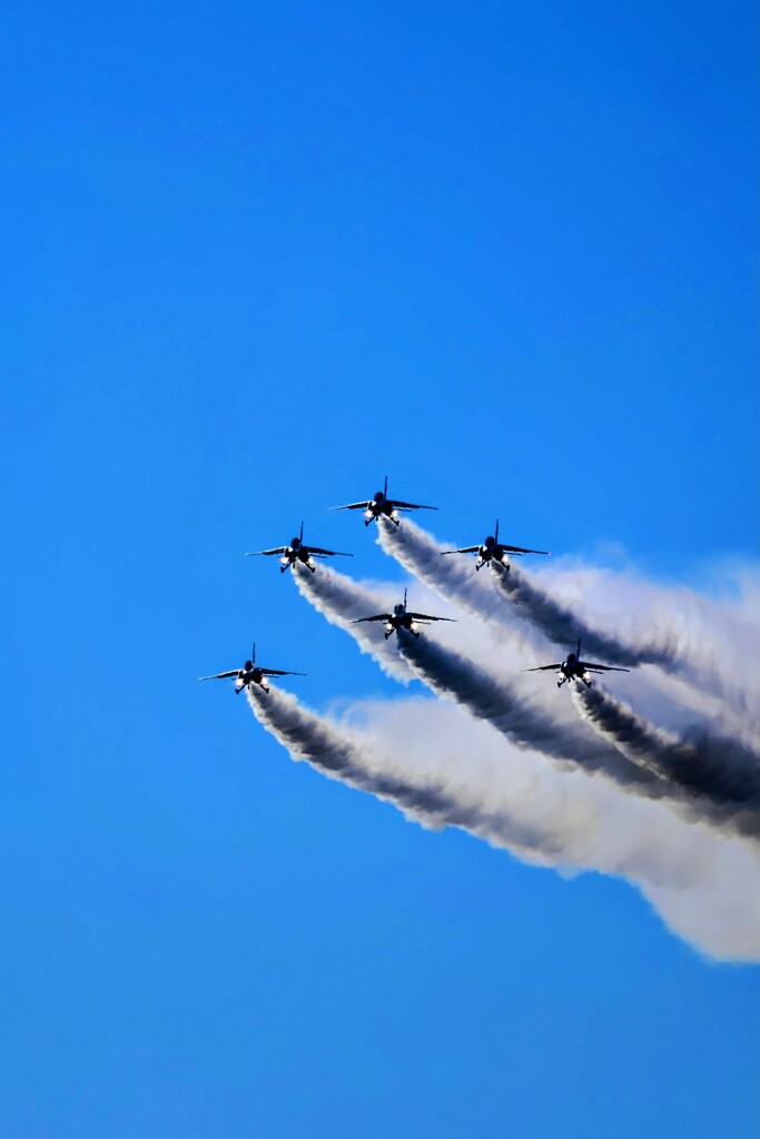 クリスマスツリーローパス