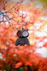 秋風に舞うフクロウの守護