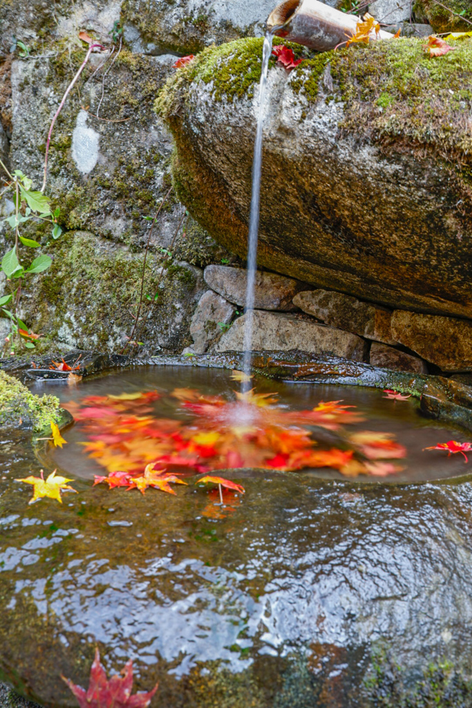 紅葉の永源寺③