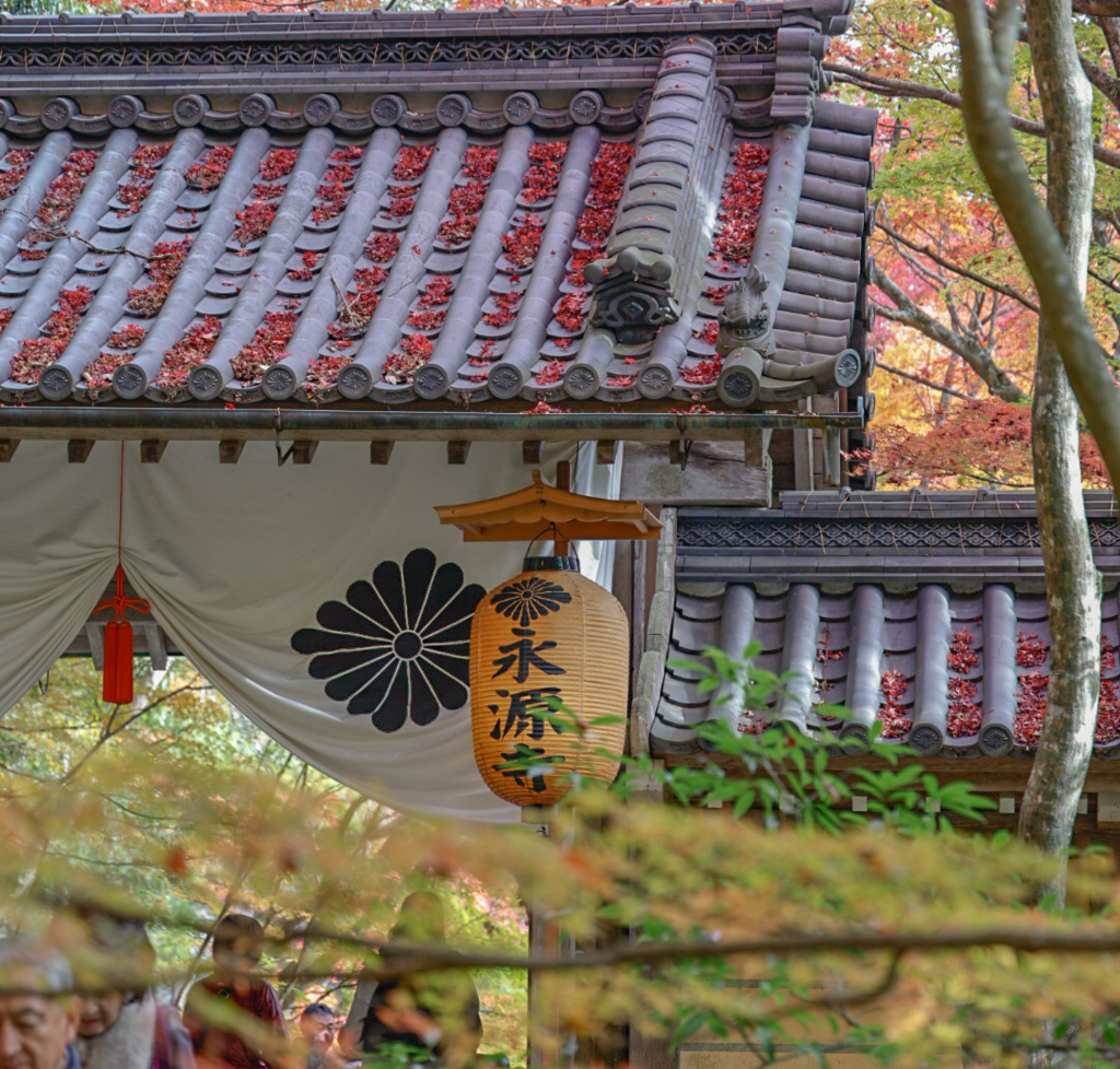 紅葉の永源寺①