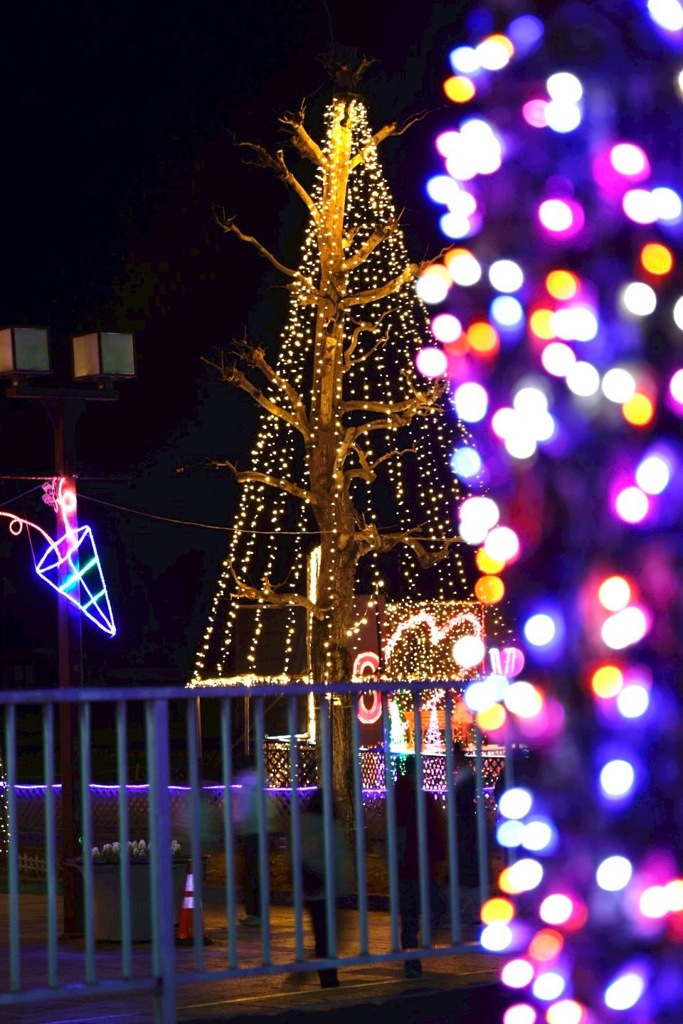 佇むツリーイルミ