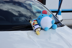 洗車後にポケモン達置いてみた