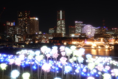 横浜のイルミネーションで夜景勉強撮影…！