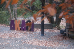 キャンプで赤城と紅葉…