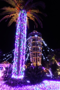 湘南の宝石2025-2026イルミネーション3