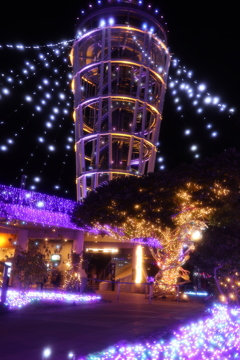 湘南の宝石2025-2026イルミネーション2