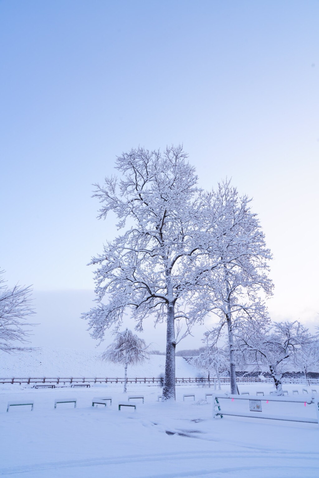 最強寒波？の朝