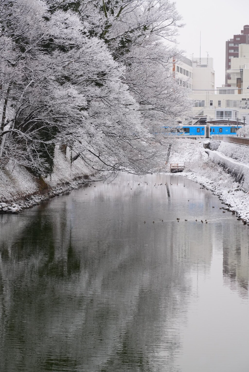 白の静寂の中を通過する青