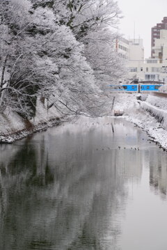 白の静寂の中を通過する青