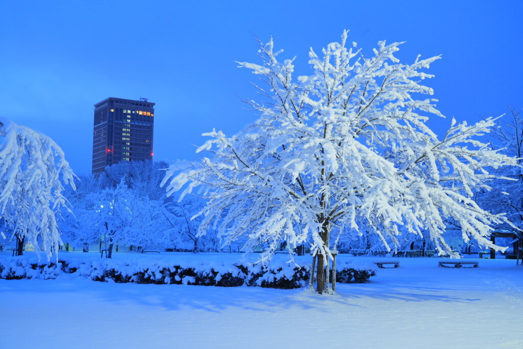 最強寒波？な朝
