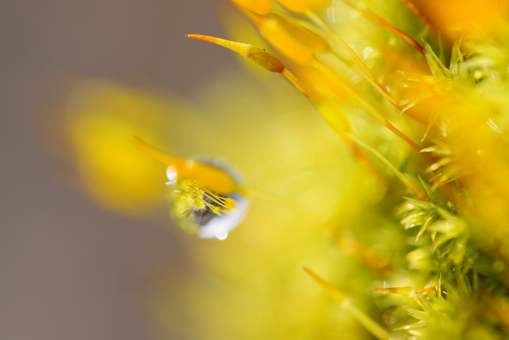雨の日のお楽しみ