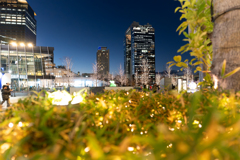 スカイビルとイルミネーション