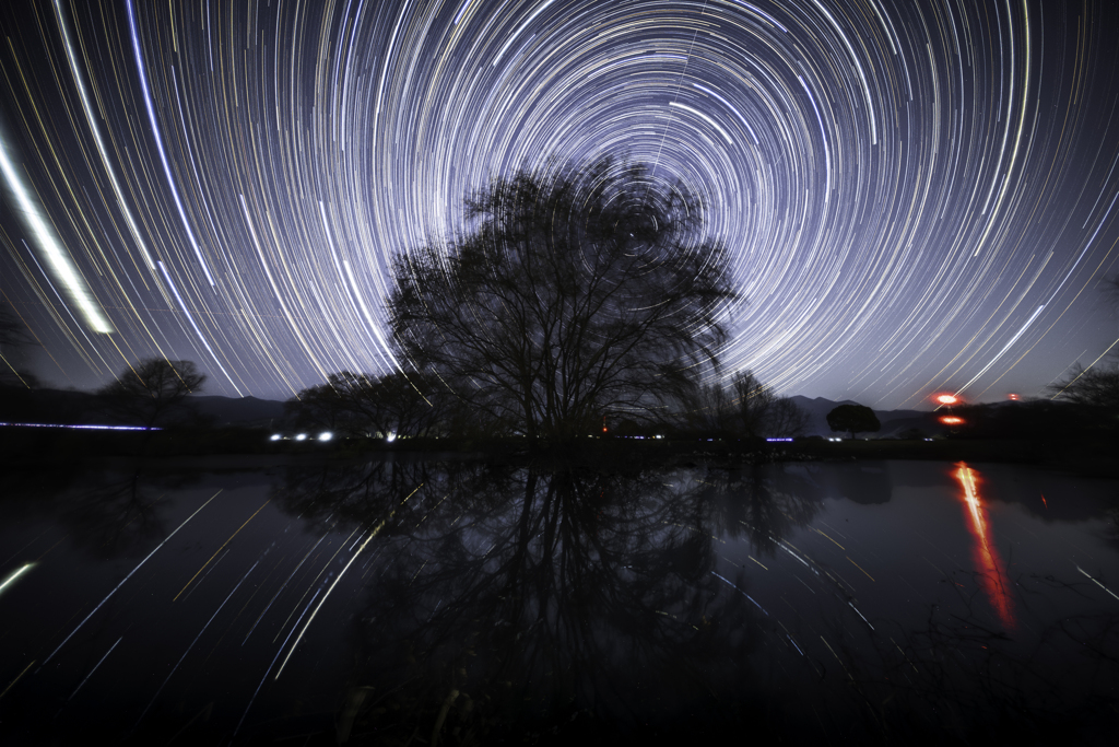 2026.1.18 お気に入りの池