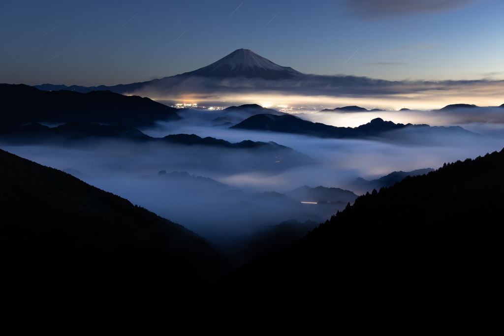 今年はこれが地味だけどまあまあかな。。。
